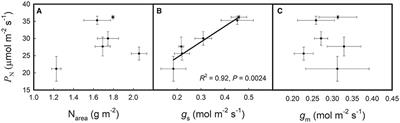 High Leaf Vein Density Promotes Leaf Gas Exchange by Enhancing Leaf Hydraulic Conductance in Oryza sativa L. Plants